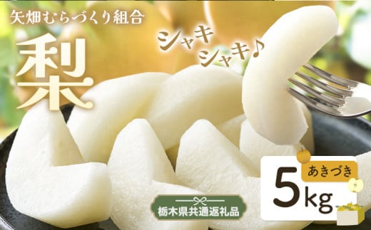 N09 梨 なし あきづき 5kg フルーツ 先行予約 矢畑むらづくり組合《9月上旬-9月下旬頃出荷》 栃木県【栃木県共通返礼品　栃木県産】【配送不可地域あり】(離島) 589729 - 栃木県野木町