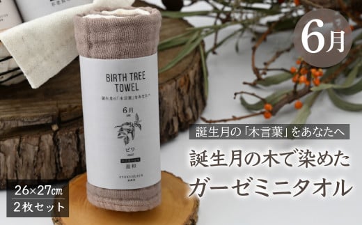 6月「ビワ」の木言葉 「温和」　 BIRTH TREE TOWEL  | RYOKUSUIEN 緑酔園 草木染め THE NEWOLD WORKS バースツリータオル ビワ 温和 ガーゼ タオル ハンカチ  ふわふわ 植物 草木染ガーゼ アップサイクル エシカル ヘリンボーン ギフト贈り物 お祝い プレゼント 母の日 父の日 記念日　埼玉県 草加市 草加 2123650 - 埼玉県草加市