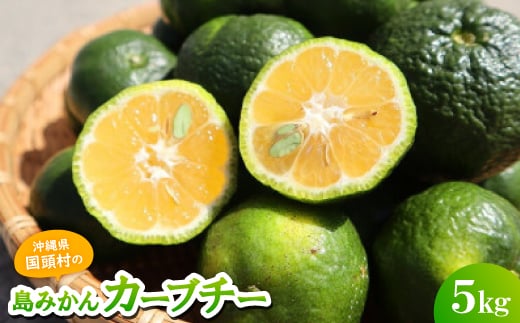 ＜2025年10月頃から順次発送＞島みかん カーブチー 5kg【1618470】
