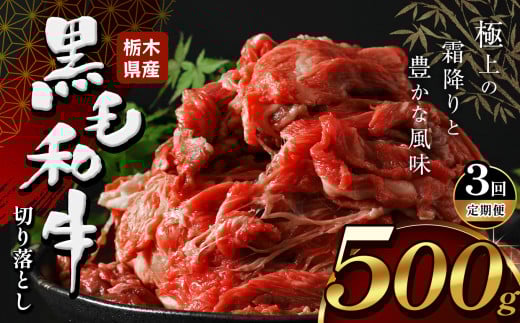【定期便3回】栃木県産牛 黒毛和牛 切り落とし  500g  | 黒毛 和牛 牛肉 焼肉 とろける 霜降り 赤身 切り落とし ふるさと 納税 イチオシ おすすめ 栃木県 下野市 しもつけ市 2117225 - 栃木県下野市