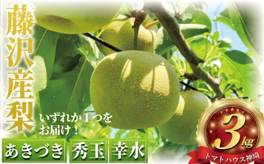 先行予約 梨 約3kg あきづき  幸水  秀玉 ナシ 新鮮 季節限定 フルーツ 果物 スイーツ くだもの なし nasi 人気品種 ナシ 和梨 日本梨 赤梨 旬の梨  甘い 爽やか 旬 贈答用 ギフト お中元 プレゼント お祝い 贅沢 産地直送 農家直送 数量限定 トマトハウス神埼 神奈川 湘南 藤沢 2132395 - 神奈川県藤沢市