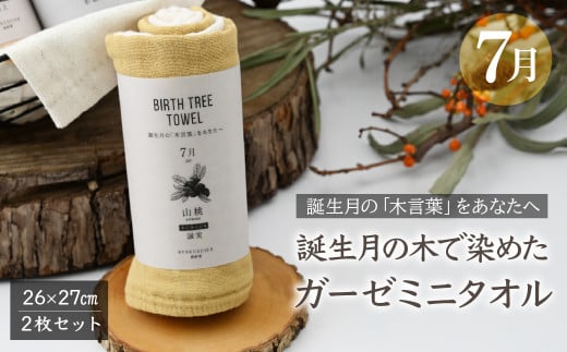 7月「山桃」の木言葉 「誠実」 BIRTH TREE TOWEL | RYOKUSUIEN 緑酔園 草木染め THE NEWOLD WORKS バースツリータオル 山桃 誠実 ガーゼ タオル ハンカチ ふわふわ 植物 草木染ガーゼ アップサイクル エシカル ヘリンボーン ギフト贈り物 お祝い プレゼント 母の日 父の日 記念日 埼玉県 草加市 草加