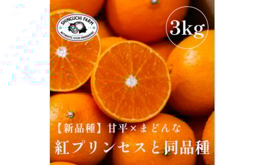 《新品種》「甘平×まどんな」　愛果48号〈紅プリンセスと同品種〉＜3kg＞＜家庭用＞＜E70-63＞【1602936】