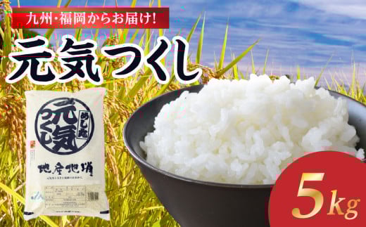 九州・福岡からお届け！ブランド米「元気つくし」5kg×1袋 お米 米 コメ 白米 特A 直送 お弁当 おにぎり 炊きたて ツヤ 粘り もちもち 弾力 卵かけご飯 福岡県 八女市