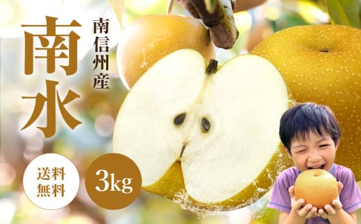 南信州産 梨【南水】3kg | 果物 フルーツ 果実 なし 和梨 梨 南水 長野県 飯田市 信州 2097790 - 長野県飯田市