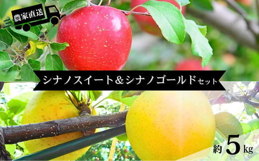 HF46-25A 【信州松川町産】シナノスイート＆シナノゴールド2種セット 約5kg／11月上旬発送予定 // 長野県 南信州 オリジナル品種 減農薬栽培 エコファーマー認証農家 りんご3兄弟 HF