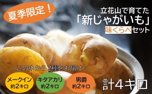 A1558.【夏季限定】立花山で育てた「新じゃがいも」2種味くらべセット（約4kg）／約2kg×2品種