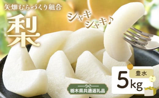 N03 梨 なし 豊水 5kg フルーツ 先行予約 矢畑むらづくり組合《8月下旬-9月中旬頃出荷》 栃木県【栃木県共通返礼品　栃木県産】【配送不可地域あり】(離島) 582225 - 栃木県野木町