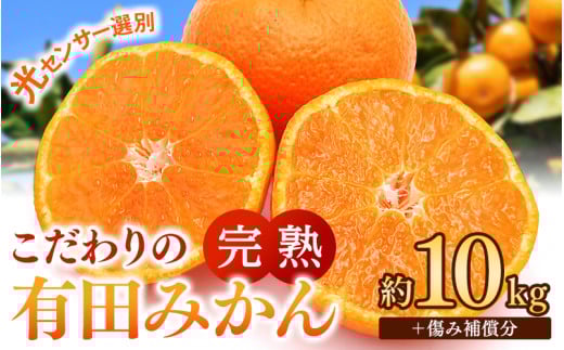 早期先行予約！  こだわりの有田みかん 約10kg＋250g(傷み補償分) 【ご家庭用】【11月発送】 光センサー選別品 農家直送品 ※北海道・沖縄・離島配送不可 / みかん 有田みかん 温州みかん 柑橘 果物 くだもの フルーツ 有田 和歌山 和歌山県産 産地直送 【nuk101-11】  2106360 - 和歌山県由良町