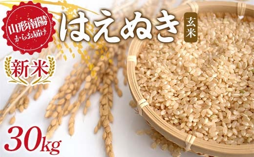 【令和7年産 新米 先行予約】 はえぬき (玄米) 30kg 《令和7年9月下旬～発送》 『マルタニ農園』 山形南陽産 米 ご飯 農家直送 山形県 南陽市 [2392-R7] 2116093 - 山形県南陽市