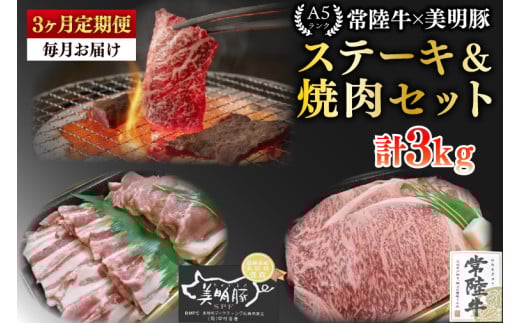 【3ヶ月定期便】【常陸牛 A5ランク・美明豚ステーキ焼肉セット】常陸牛サーロイン600ｇ（300ｇ×２枚）＋美明豚400ｇ（ロース200ｇ・ばら200ｇ）【冷凍 国産牛 和牛 牛肉 豚肉 ブランド豚 茨城県 水戸市 食べ比べ セット商品 国産 BBQ】（EK-35_1） 2117490 - 茨城県水戸市
