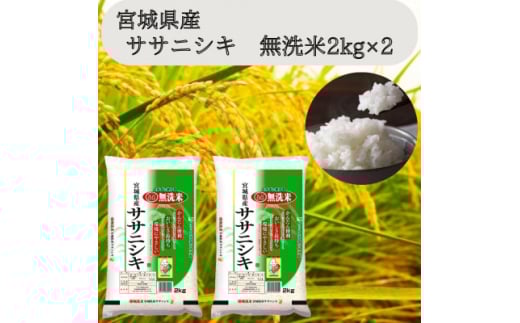 令和6年産＜宮城県産＞ササニシキ　無洗米2kg×2　計4kg【1607294】