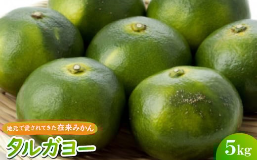 ＜2025年10月頃から順次発送＞地元で愛されてきた在来みかん タルガヨー5kg【1618423】