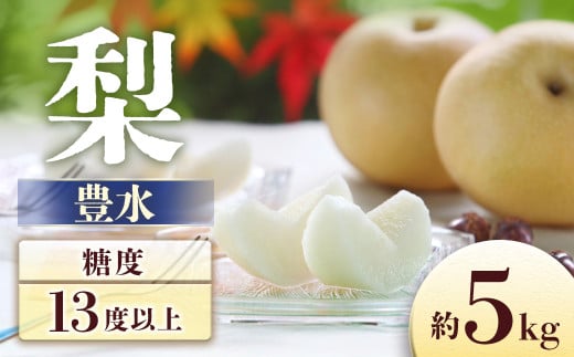 A-3 梨　豊水 約5kg【8～16玉】※2025年発送　先行予約分※