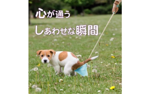 犬のフンキャッチャー　らふーん＜小型枠＞手が汚れない、楽しくフンキャッチ　トイプードルなど超小型犬用【1615828】