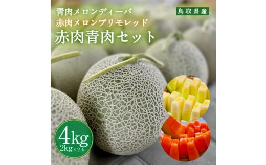 956.【ふるさと納税】青肉メロンディーバと赤肉メロンプリモレッドのセット ※日本全国配送可能  2025年10月上旬頃～11月上旬頃に順次発送予定 2117050 - 鳥取県北栄町