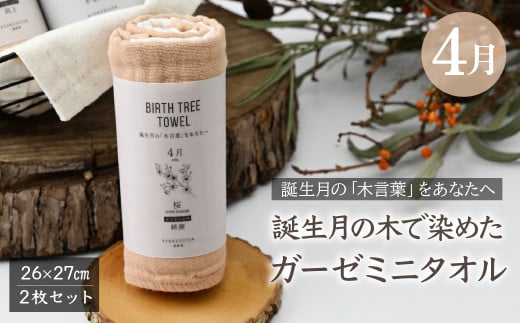 4月「桜」の木言葉 「純潔」　 BIRTH TREE TOWEL  | RYOKUSUIEN 緑酔園 草木染め THE NEWOLD WORKS バースツリータオル 桜 さくら サクラ 純潔 ガーゼ タオル ハンカチ  ふわふわ 植物 草木染ガーゼ アップサイクル エシカル ヘリンボーン ギフト贈り物 お祝い プレゼント 母の日 父の日 記念日　埼玉県 草加市 草加 2123648 - 埼玉県草加市