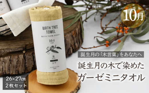 10月「栗」の木言葉 「公平」　 BIRTH TREE TOWEL  | RYOKUSUIEN 緑酔園 草木染め THE NEWOLD WORKS バースツリータオル 栗 くり ガーゼ タオル ハンカチ  ふわふわ 植物 草木染ガーゼ アップサイクル エシカル ヘリンボーン ギフト贈り物 お祝い プレゼント 母の日 父の日 記念日 誕生日 埼玉県 草加市 草加 2123654 - 埼玉県草加市