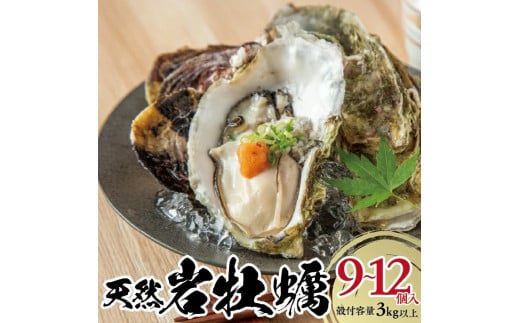 SE0387　天然岩牡蠣　計3kg以上(9～12個入)