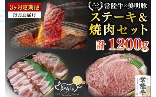 【3ヶ月定期便】【常陸牛 A5ランク・美明豚ステーキ焼肉セット】常陸牛サーロイン200ｇ＋美明豚200ｇ（ロース100ｇ・ばら100ｇ）【冷凍 国産牛 和牛 牛肉 豚肉 ブランド豚 茨城県 水戸市 食べ比べ セット商品 国産 BBQ】（EK-34_1） 2117486 - 茨城県水戸市