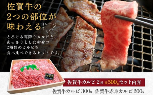 佐賀牛 カルビ 2種 焼肉用 500g 牛肉 黒毛和牛 赤身 カット済 バーベキュー 九州 佐賀県 佐賀市 佐賀丸美屋 焼肉屋：B320-013