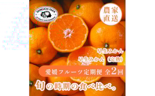 ＜発送月固定定期便＞「時期による味の違いを楽しむ」愛媛みかんの旬を食べ比べ＜F70-81＞全2回【4067806】 2117671 - 愛媛県八幡浜市