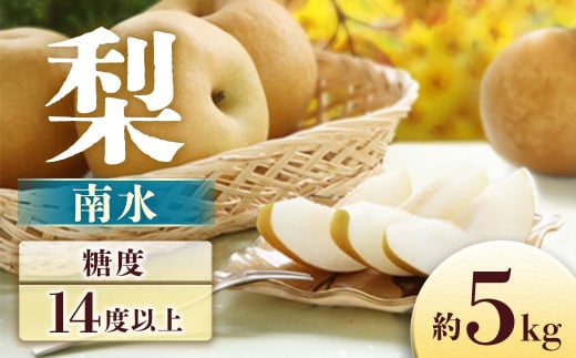 A-30 梨　南水　約5㎏【8～16玉】※