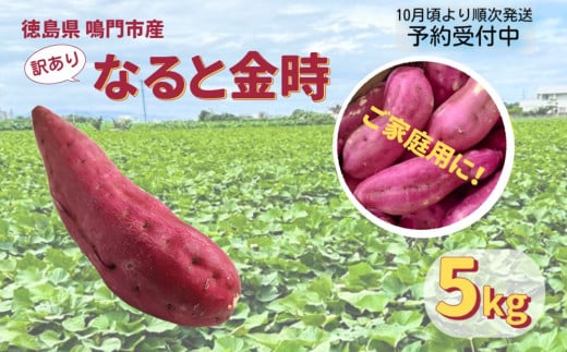 ※画像はイメージです。