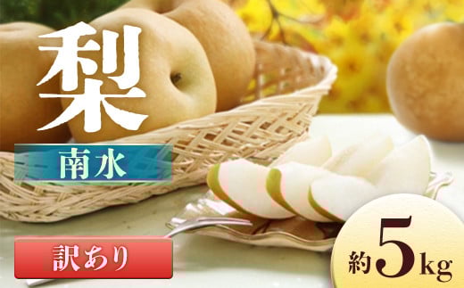 A-31 梨　南水※訳あり品※【8～16玉