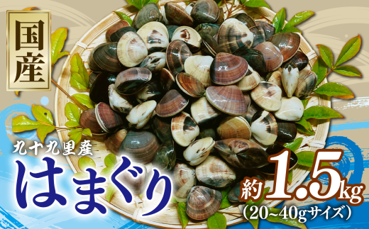 はまぐり 約1.5kg ( 約500g 【