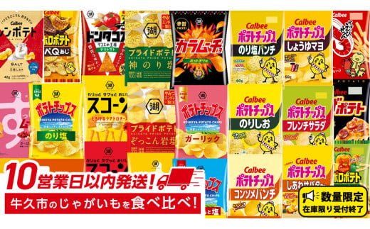 ＼ 10営業日以内に発送 ／ カルビー 湖