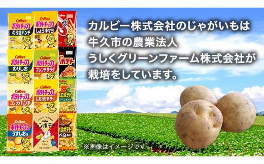 茨城県牛久市のふるさと納税 ＼ 10営業日以内に発送 ／ カルビー 湖池屋 人気 24種 詰め合わせ お楽しみ スナック菓子 セット カルビー 湖池屋 ポテトチップス ポテチ お菓子 おかし 大量 スナック おつまみ ジャガイモ じゃがいも まとめ買い Calbee ポテト おまかせ 数量限定