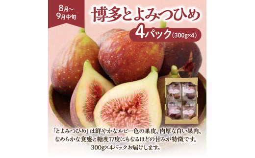 定期便/年4回】旬の福岡フルーツ定期便【ほたるの里】_HB0087 定期便/年4回】旬の福岡フルーツ定期便【ほたるの里】_HB0087