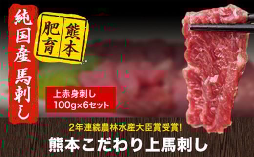 馬刺し 上赤身 ブロック 国産 熊本肥育 冷凍 生食用 たれ付き(10ml×3袋) 100g×6セット 《7月中旬-9月末頃出荷》 肉 期間限定 絶品 牛肉よりヘルシー 馬肉 予約 平成27年28年 農林水産大臣賞受賞 熊本県長洲町