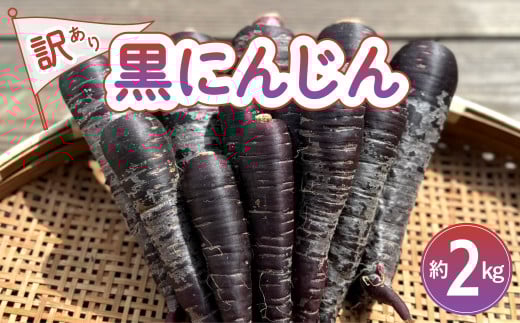 黒にんじん 訳あり 2kg にんじん ニンジン 人参 ポリフェノール アントシアニン 黒人参 抗酸化力
