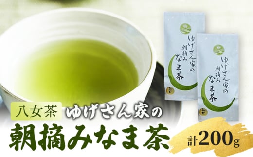 八女茶 ゆげさん家の朝摘みなま茶 100g×2袋 計200g ※配送不可：北海道、沖縄、離島