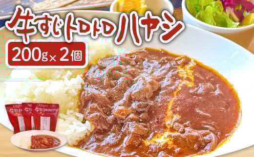 牛すじトロトロハヤシ 2個セット【ハヤシライス 2個 1食 200g レトルト食品 レトルトハヤシ レトルト 長期保存 すじ肉 牛肉 詰め合わせ セット 備蓄用 災害備蓄 島根県 大田市】 2013457 - 島根県大田市