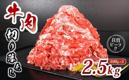 肉 牛 牛肉 切り落とし 細切れ 約 2.5kg 国産 牛バラ バラ モモ 肉 赤身 冷凍 小分け 選べる 容量 すき焼き しゃぶしゃぶ ごちそう 鍋 鉄板焼き やわらかい 美味しい おいしい 香川県 香川 丸亀 丸亀市 2121946 - 香川県丸亀市
