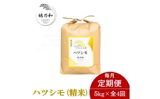 ＜発送月固定定期便＞＜先行予約＞岐阜県産ハツシモ(精米)5kg全4回【4067870】