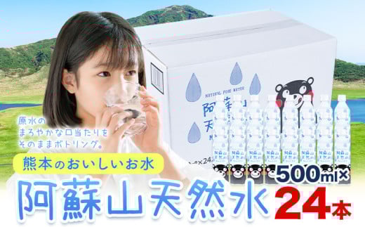 水 熊本 の おいしい お水 阿蘇山 天然水 500ml × 24本 1ケース  丸富産業《30日以内に出荷予定(土日祝除く)》熊本県 御船町 水 天然水 みず 熊本 飲料 熊本県 ミネラルウォーター
