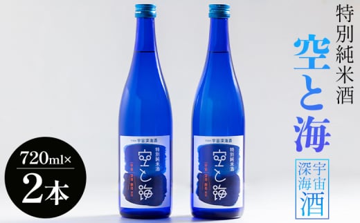 土佐宇宙深海酒 特別純米酒 空と海 720ml×2本 - 日本酒 辛口 国産 高知県産 お酒 酒 おさけ セット 辛口 贈り物 ギフト 晩酌 自分用 アルコール 記念日 お酒好き お礼 お祝い 高知県 香南市 常温 gs-0151