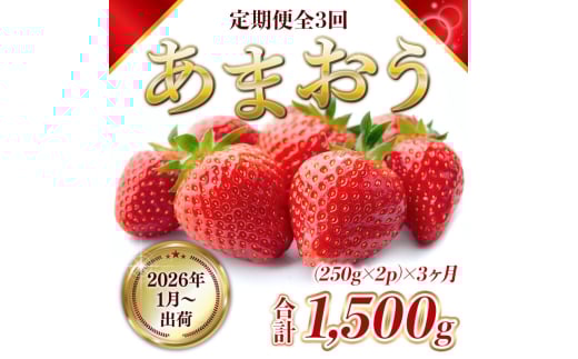 定期便 3ヶ月 福岡県産 あまおう 合計1500g 先行予約 2026年1月より順次発送 いちご イチゴ 苺 果物 3回 ※配送不可:離島