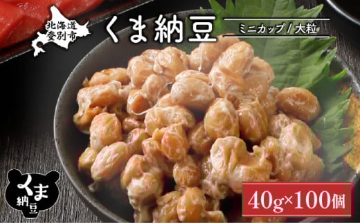 北海道くま納豆ミニカップ 大粒 100個 《順次発送》 国産 なっとう ナットウ 高級 大豆 厳選 老舗 栄養 発酵 ふるさと納税 北海道 登別市