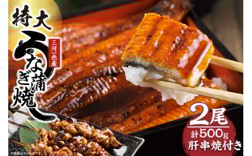 【土用の丑の日対応　一の丑7/6（日）入金まで二の丑7/21（月）入金まで】三河一色産　最高級うなぎセット 特大2尾（蒲焼2尾）計500g（冷蔵配送）（2331） 2118196 - 愛知県知立市