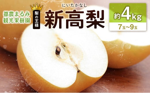 新高梨(にいたかなし) 約4kg 7玉~9玉 天然ミネラル栽培 ナシ フルーツ 果物 くだもの 旬 宮崎県 804872 - 宮崎県宮崎県庁