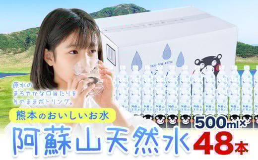 水 熊本 の おいしい お水 阿蘇山 天然水 500ml × 48本 2ケース  丸富産業《30日以内に出荷予定(土日祝除く)》熊本県 御船町 水 天然水 みず 熊本 飲料 熊本県 ミネラルウォーター