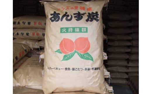あんずとももの炭 計14kg｜ 炭 BBQ 果実炭 こだわり炭 国産炭 千曲市 長野県 信州