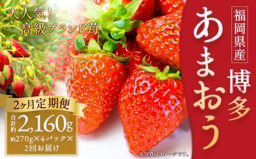 【2回定期便】いちご「あまおう」 約270g×4パック 合計 約2,160g 【2026年1月上旬順次発送開始予定】 1334098 - 福岡県筑後市
