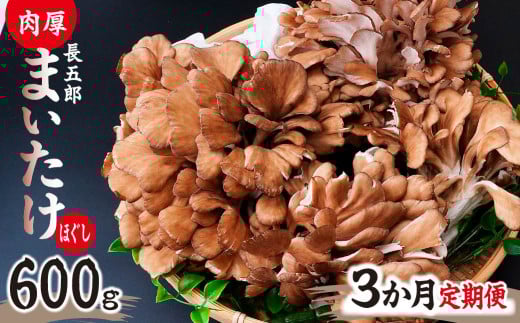 【3ヶ月定期便】まいたけ 長五郎まいたけ ほぐし 300g×2個 まいたけ｜舞茸 まいたけ レシピ付き ジューシー ステーキ 天ぷら 炊き込みご飯 舞茸ご飯 ごはん きのこ 野菜 丸ごと 国産 無農薬 安全 安心 食物繊維 健康  カロリー 低い 産地直送 プレゼント ギフト 贈り物 群馬県 前橋市 2118223 - 群馬県前橋市
