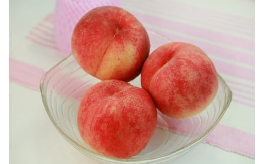 【2025年先行予約】桃(品種おまかせ)  約5kg｜ 果物 フルーツ もも モモ 白桃 白鳳 特産品 千曲市 長野県 信州 2136441 - 長野県千曲市